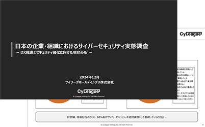 日本の企業・組織におけるサイバーセキュリティ実態調査（2024年10月実施）