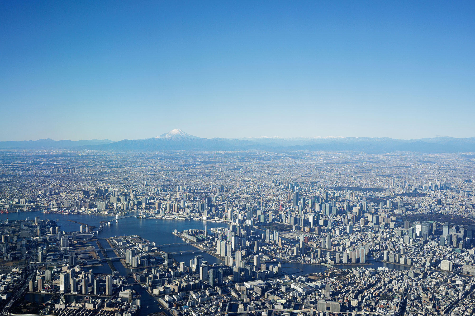 サイバーレジリエンスとは何か？サイバーセキュリティとの違いと、企業に求められる理由を整理する